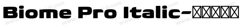 Biome Pro Italic字体转换
